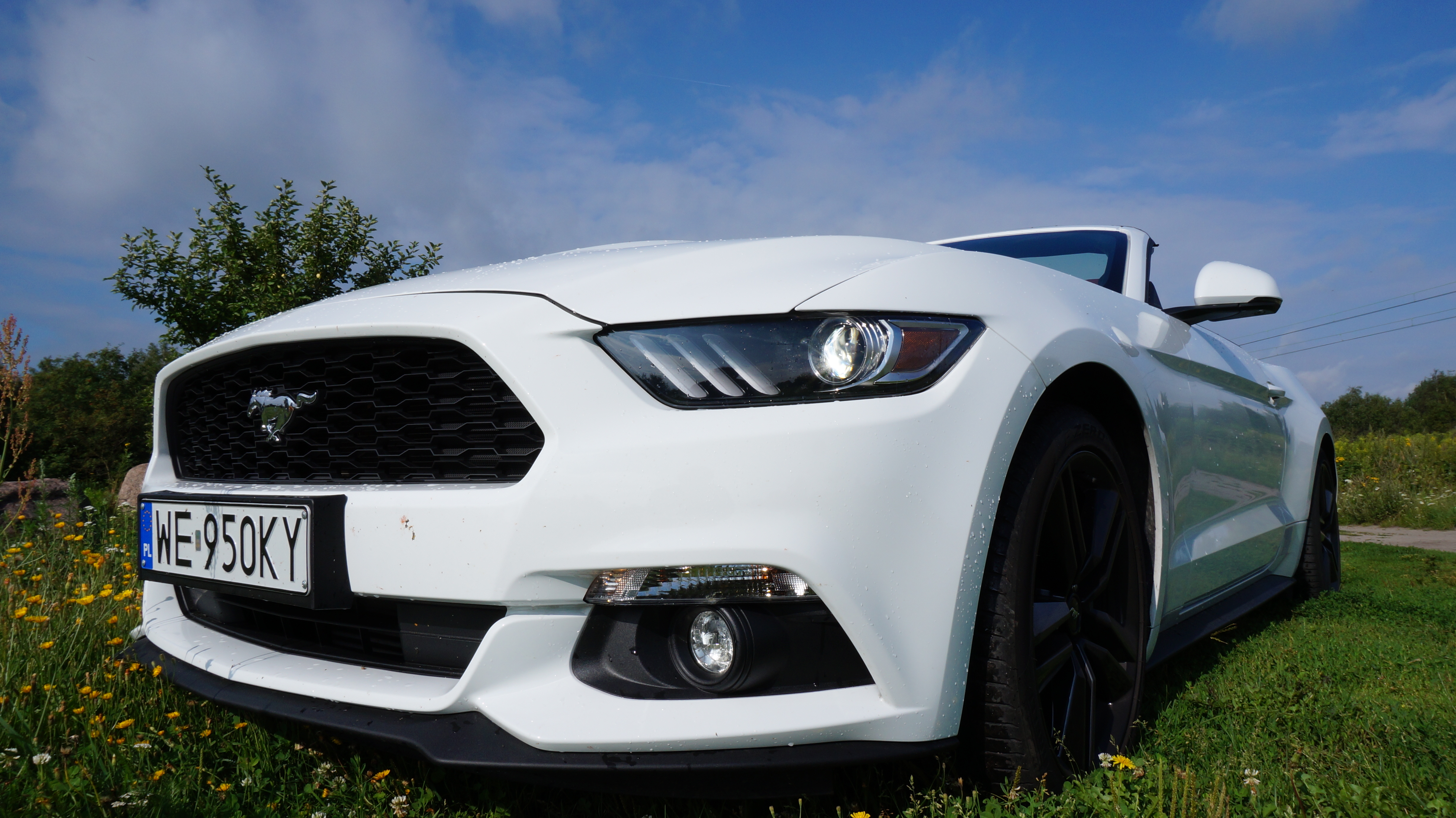 Ford Mustang królem sprzedaży samochodów sportowych